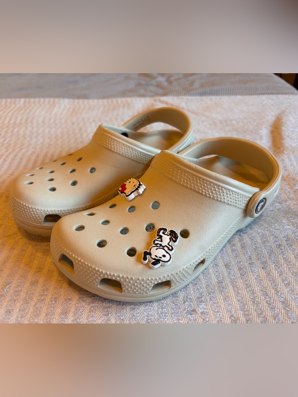 Crocs Kids Beige Clog with Fun Character Charms - Picture 1 of 7